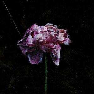 Meet your Posher, Skyler